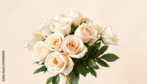 Elegant bouquet of cream roses with soft beauty on a pastel background, floral background, copy space, Women's Day, Mother's Day, Wedding, Valentine's Day, birthday, anniversary