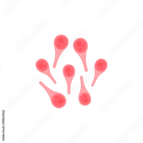 Clostridium Botulinum Illustration 