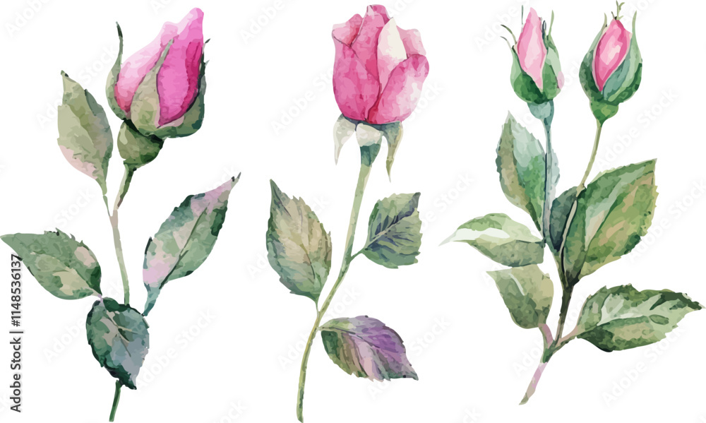 Fototapeta premium set of flowers