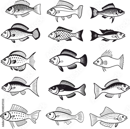 Simple black and white illustration of a fish with clear outlines and details.