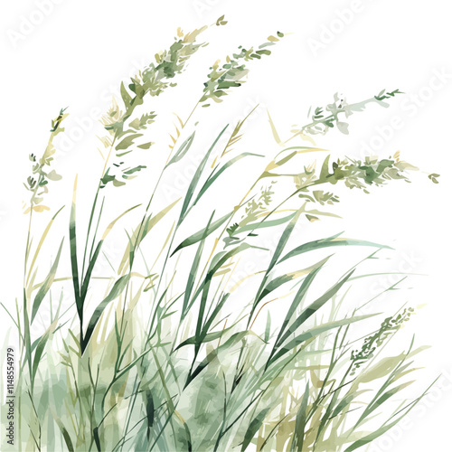 A watercolor vector of a summer breeze blowing through tall grass, isolated on a white background. Summer breeze vector.
