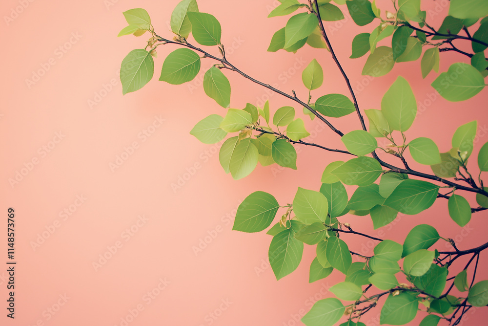 Glossy green leaves arranged in an organic pattern on a rich background with free space Glossy green leaves arranged in an organic pattern on a rich background with free space