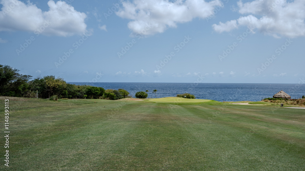 Idyllic Golf Course in Curaçao: Azure Waters, Palm-Lined Fairways, and Thatched Roof Structures Amidst Lush Greenery, Embodying the Tropical Serenity and Luxurious Appeal of this Caribbean Destination Idyllic Golf Course in Curaçao: Azure Waters, Palm-Lined Fairways, and Thatched Roof Structures Amidst Lush Greenery, Embodying the Tropical Serenity and Luxurious Appeal of this Caribbean Destination