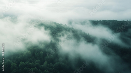 Fog envelops a dense forest during dawn in a serene landscape view.