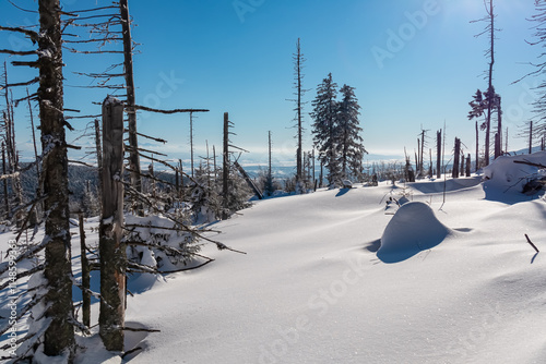 Fototapeta Naklejka Na Ścianę i Meble -  Winter wonderland scene in snow-covered forest destroyed by windbreak in Zawoja, Zywiec Beskids, Poland. Scenic view of snow capped hills and mountains seen from mount Polica. Solitude and tranquility