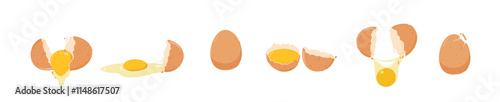 Raw chicken eggs in various conditions, on isolated background. for posters and web icons