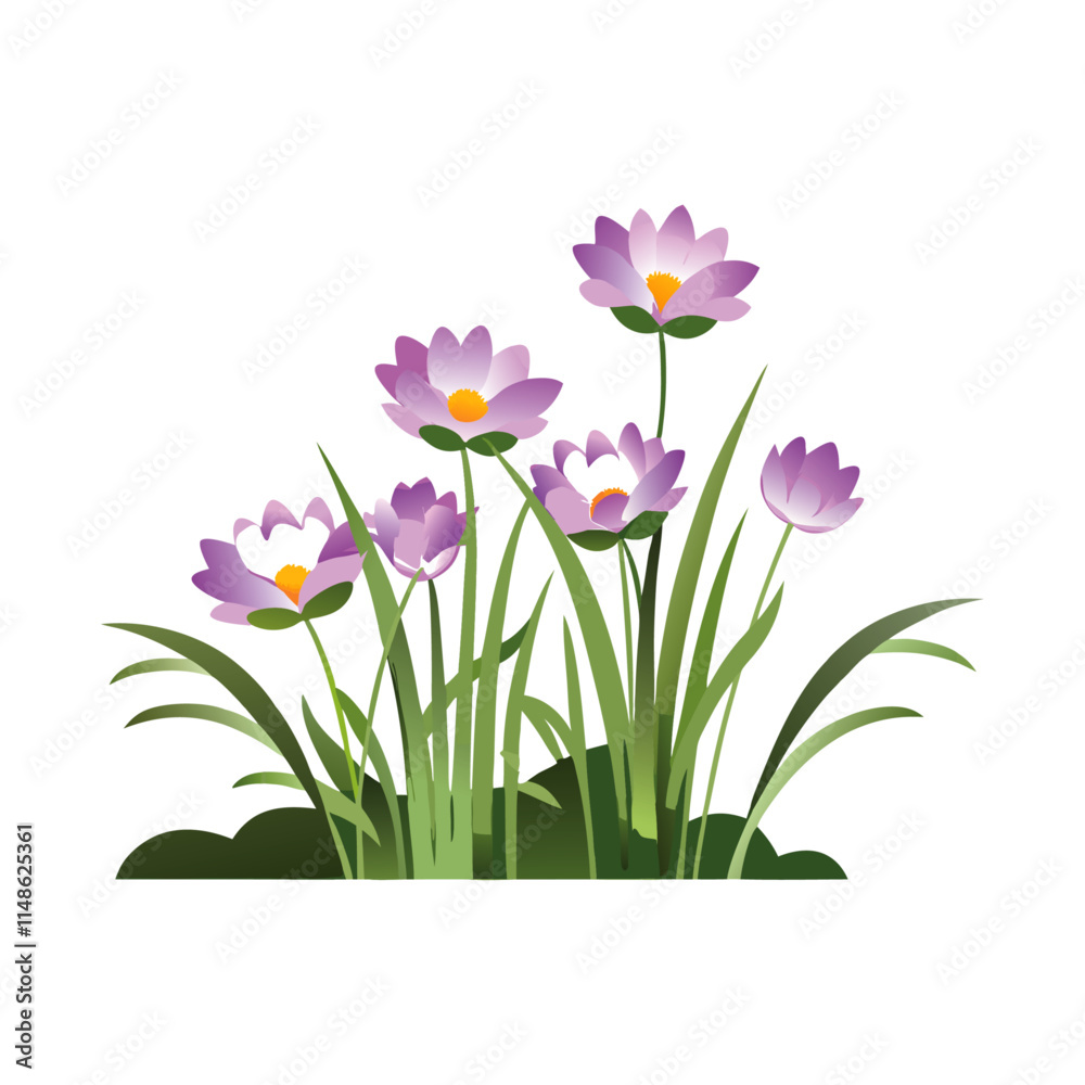 Fototapeta premium pink and white tulips