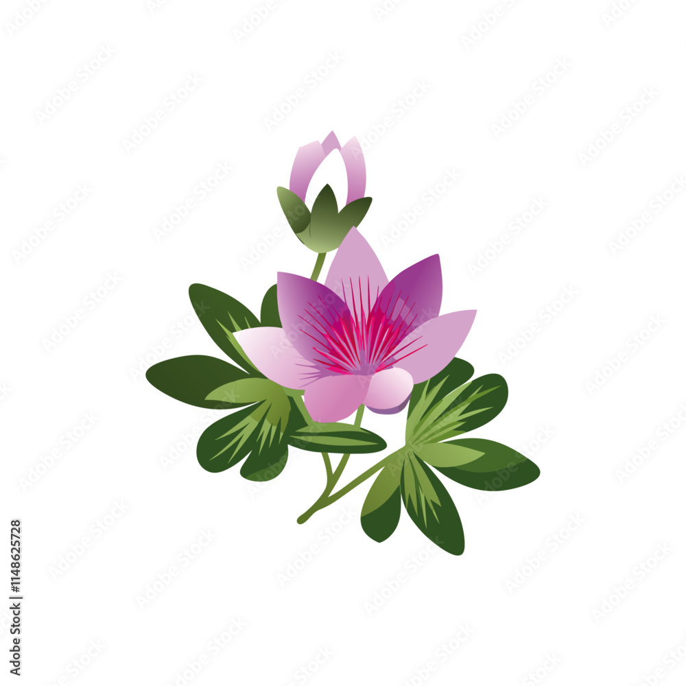 Fototapeta premium Flower