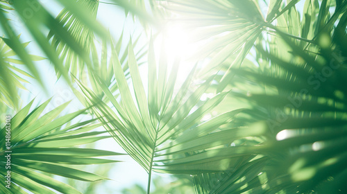 Green palm leaves on white backgroung Magnifice