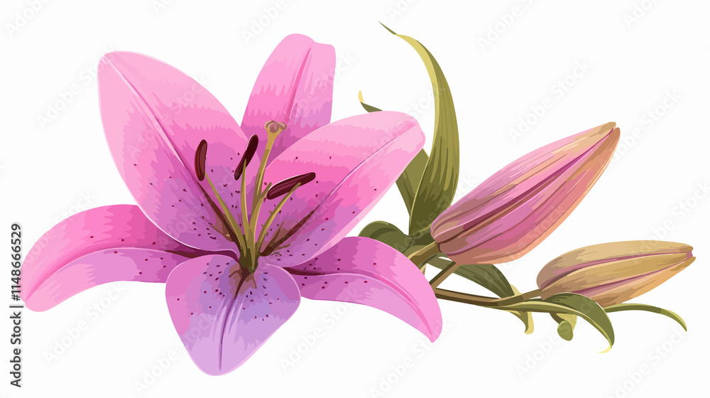 Naklejka premium Exotic Pink Lily Blossom Vector Illustration for Graphic Design Projects