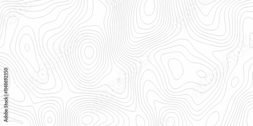 White topography topology vector white background fresh contour map texture. white seamless pattern Abstract background with a wave Topography and geography map grid abstract backdrop.