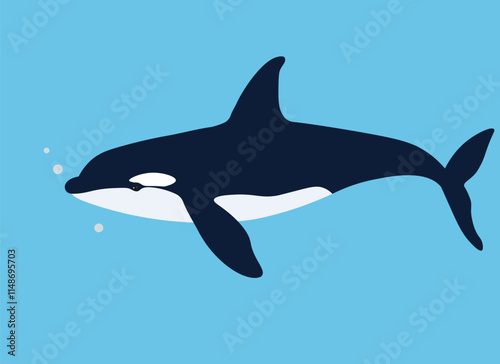 Killer Whale in Blue Water - Vector Graphic