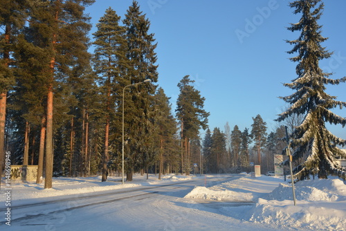 Beautiful winter nature, illuminated by light rays of light. Tall green pines, spruces, trees covered with white snow, large snowdrifts with white beaten paths, snow-covered road in Varkaus, Finland. photo