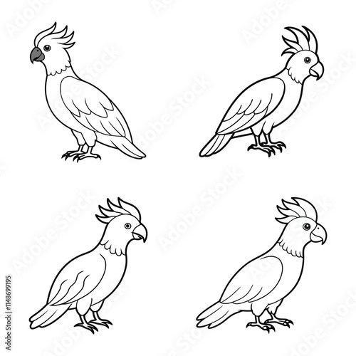 Cockatoo full body line art vector illustration photo