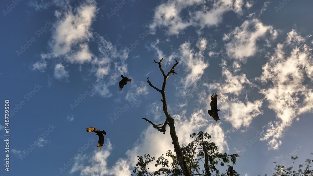 Large group of birds and tree in the sky Large group of birds and tree in the sky