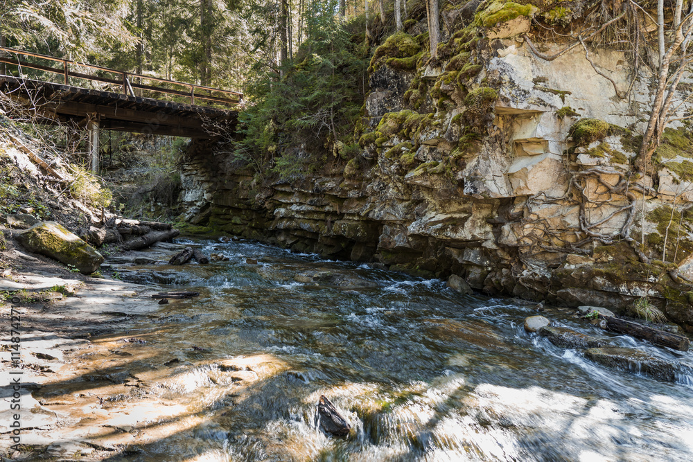 Tranquil Stream Beneath a Rustic Bridge in a Lush Forest Setting Tranquil Stream Beneath a Rustic Bridge in a Lush Forest Setting