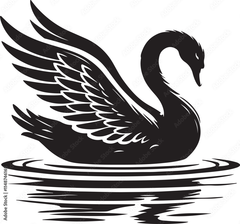 Fototapeta black and white swans