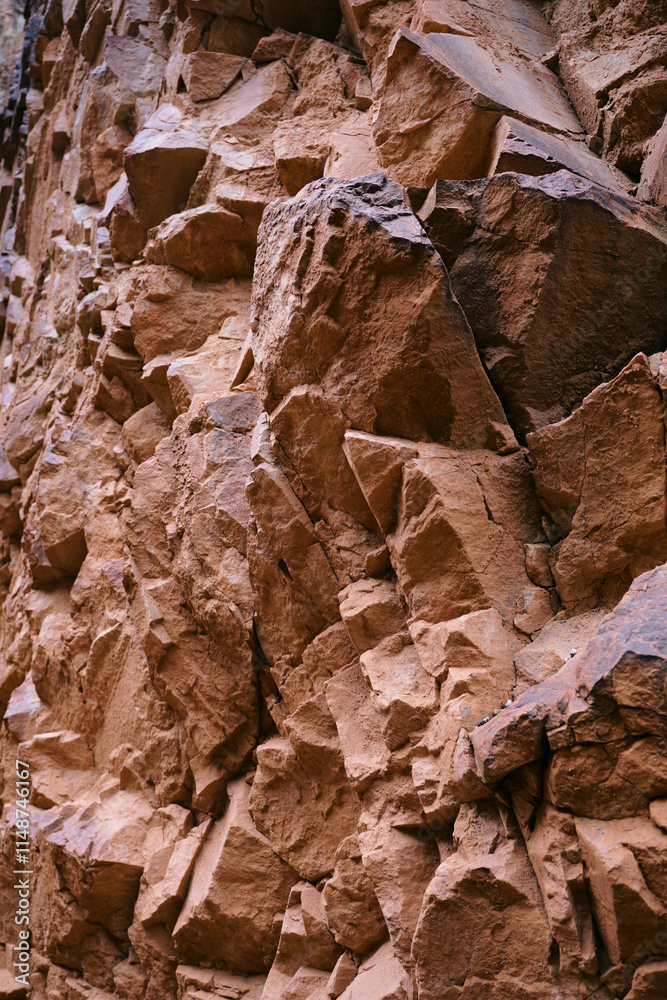 Fototapeta premium the texture of the red rocks in the canyon
