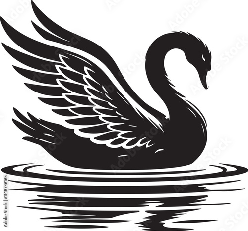black and white swans