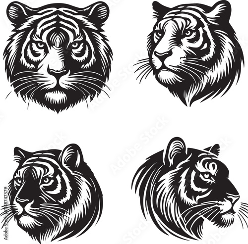 tiger head vector illustration 