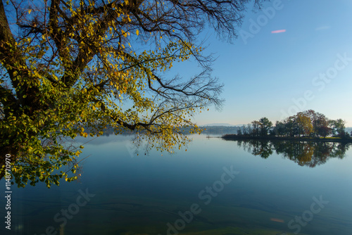 lago  