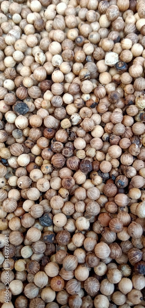 Close-Up of Dried Coriander Seeds - Natural Spice Texture and Color Variations Close-Up of Dried Coriander Seeds - Natural Spice Texture and Color Variations