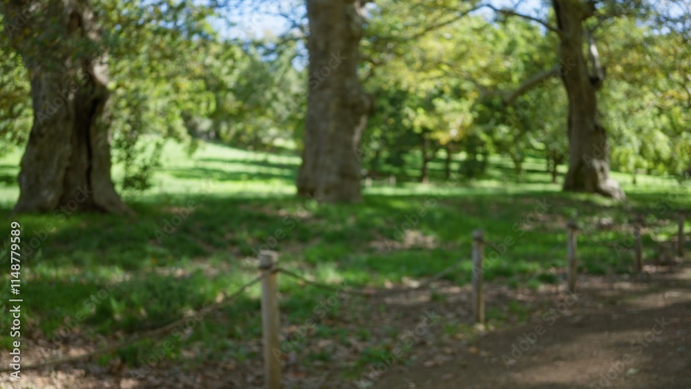 Villa borghese gardens in rome feature a blurred outdoor setting with lush greenery and defocused trees creating a serene, natural atmosphere.