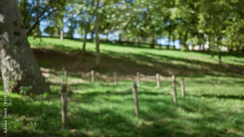 Fototapeta premium Blurred view of villa borghese gardens in rome, showcasing lush greenery, defocused trees, and sunlit bokeh, creating a serene outdoor ambiance.