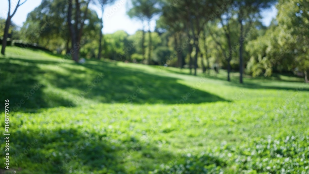 Blurred greenery scene in villa borghese gardens in rome with defocused trees and lush grass under clear sky, perfect for nature backgrounds. Blurred greenery scene in villa borghese gardens in rome with defocused trees and lush grass under clear sky, perfect for nature backgrounds.