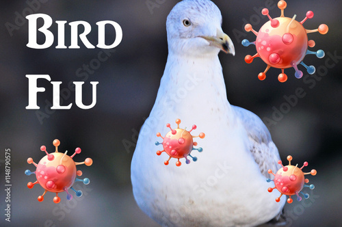 bird flu
