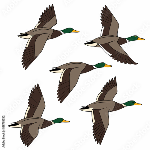 A vector artwork of a migrating flock of ducks in flight, ideal for digital and graphic design projects.