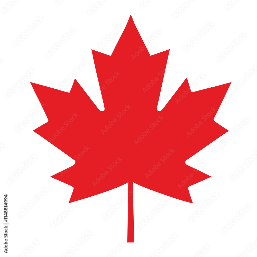 Maple leaves isolated vector on white background. Maple leaves isolated vector on white background.