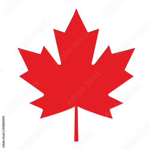 Maple leaves isolated vector on white background. 