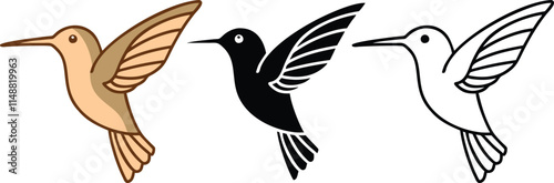 Hummingbird Illustrations Beige, Black, White Line Art Designs