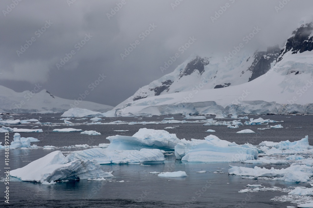 custom made wallpaper toronto digitalParadise Harbor - Antarctique