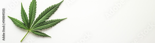 Cannabis leaf on a white background, created with generative AI technology