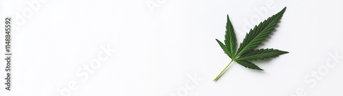 Cannabis leaf on a white background, created with generative AI technology