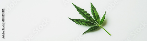 Cannabis leaf on a white background, created with generative AI technology