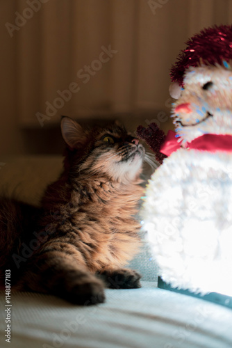 A cute cat playing with a handmade snowman next to a Christmas tree at home........
