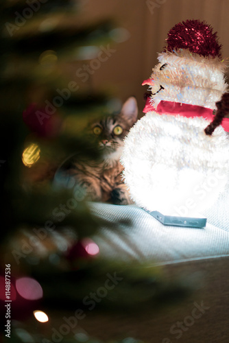 A cute cat playing with a handmade snowman next to a Christmas tree at home........