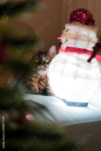 A cute cat playing with a handmade snowman next to a Christmas tree at home........