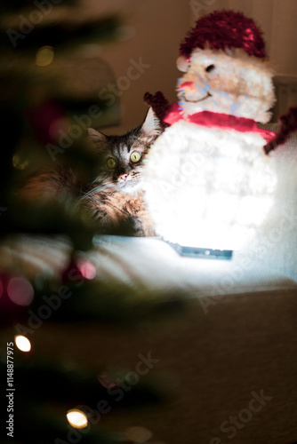 A cute cat playing with a handmade snowman next to a Christmas tree at home........
