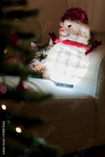A cute cat playing with a handmade snowman next to a Christmas tree at home........
