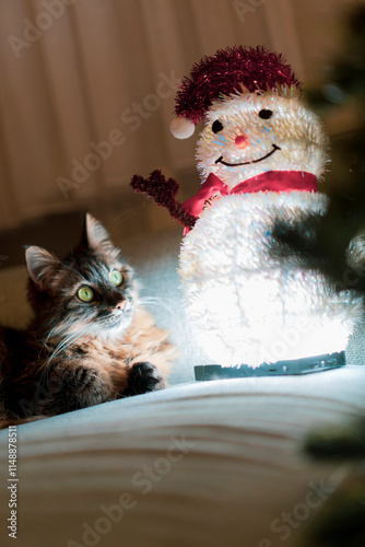 A cute cat playing with a handmade snowman next to a Christmas tree at home........