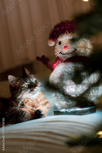 A cute cat playing with a handmade snowman next to a Christmas tree at home........