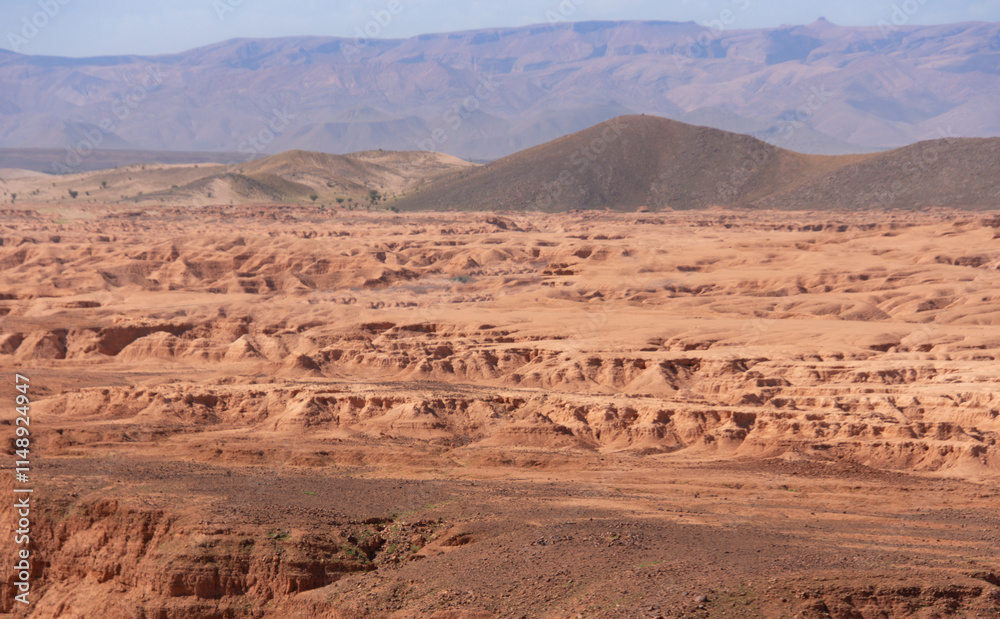 Canyon in a Moroccan plain between the towns of Zagora and Tata