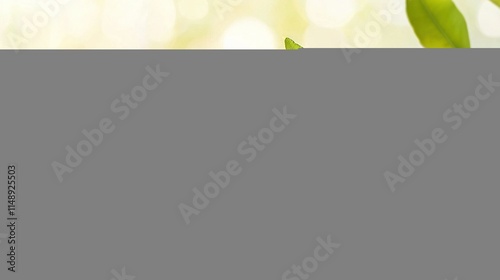  A pair of oranges placed atop a table adjacent to a verdant foliage sprig upon another table
