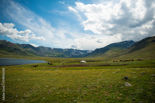 Amazing landscape of Mongolia