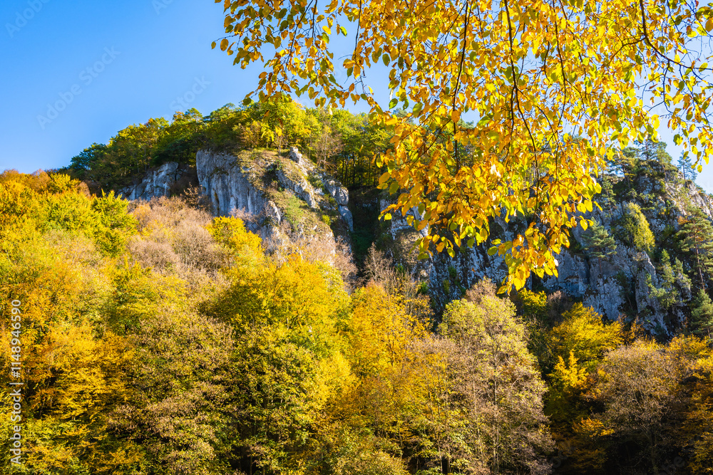 Limestone rocks in autumn fall landscape of Ojcow National Park, Poland