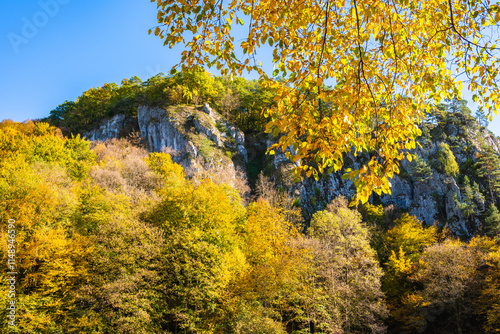 Obraz na płótnie Limestone rocks in autumn fall landscape of Ojcow National Park, Poland w salonie